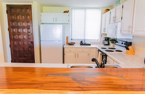 Kahaluu-Keauhou Apartment | Newly Remodeled | Ocean & Golf Views | AC | Lanai