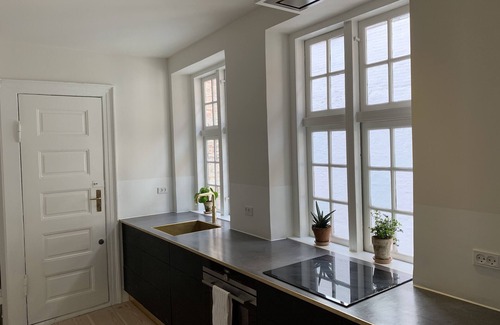 Copenhagen City Centre Condo | Newly renovated and historical preserved apartment