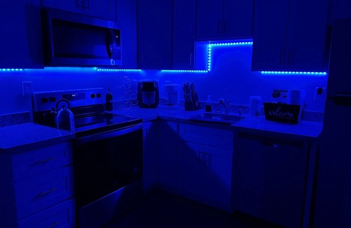 South Tacoma Apartment | Newly Renovated Cozy 2 Bd Rm Apt