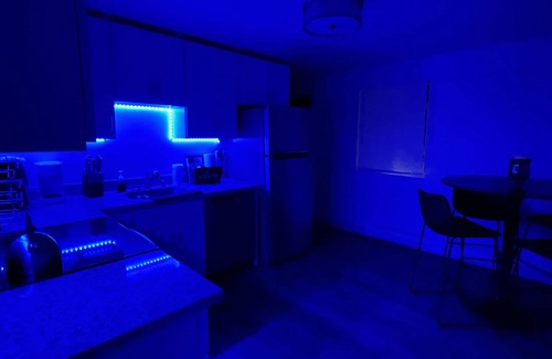 South Tacoma Apartment | Newly Renovated Cozy 2 Bd Rm Apt