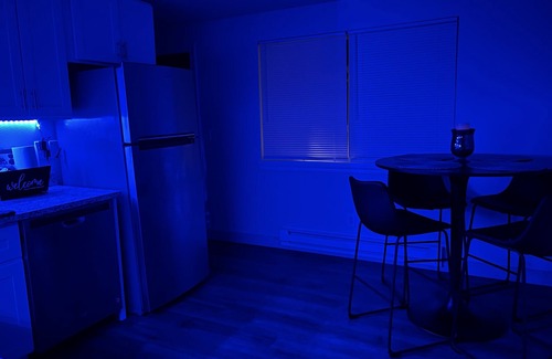 South Tacoma Apartment | Newly Renovated Cozy 2 Bd Rm Apt
