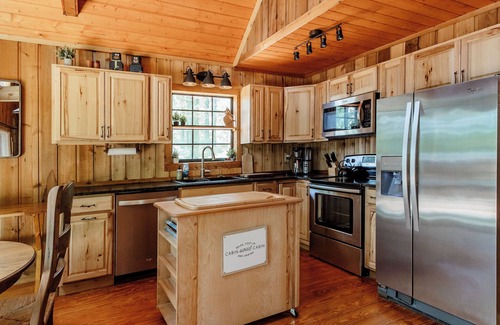 Tiger Cabin | Newly Renovated Cozy Mountain Cabin with Hot Tub and Views - 5 min to Clayton