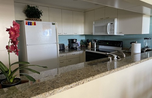 Arcadian Shores Condo | Newly renovated March 2023! - South Hampton at Kingston