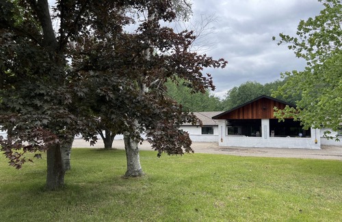 Houghton Lake House | Newly renovated room with 2 high end beds and bedding.