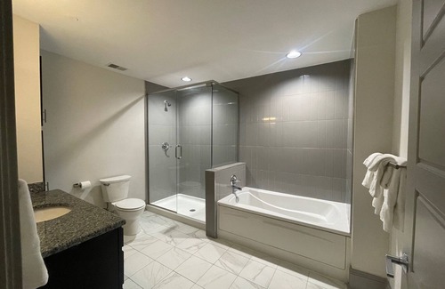 Downtown Detroit Apartment | NFL draft 2 bedroom 2bath right on Woodward in the heart of the action