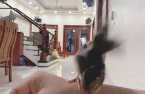 Ninh Binh Apartment | Ngoc apartment