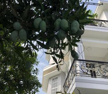 Hue Hotel | Nhat Long Homestay