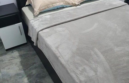 Braila Apartment | Nic Regim hotelier