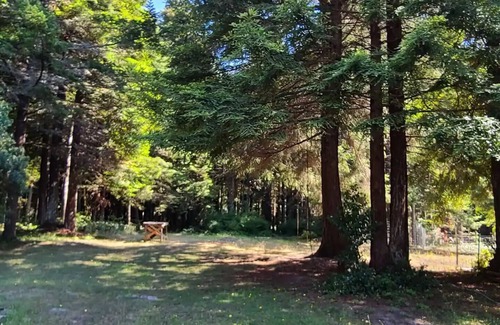 Fort Bragg Cottage | Nice 2-bedroom cottage in Fort Bragg with WiFi access