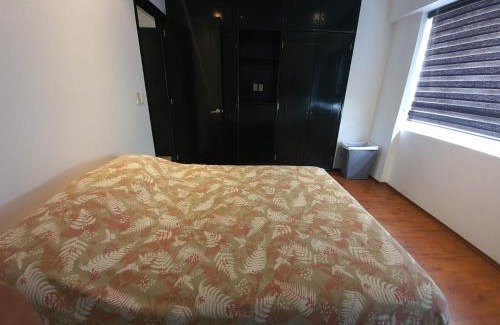 Polanco Apartment | Nice and large apartment in Polanco