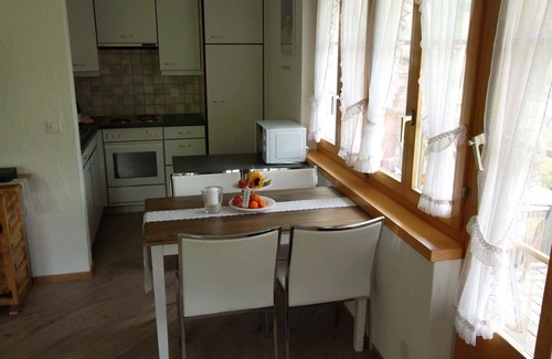 Habkern Apartment | Nice apartment for 3 guests with WIFI, TV and pets allowed