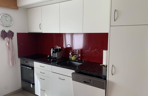 Lenk Apartment | Nice apartment for 4 guests with parking