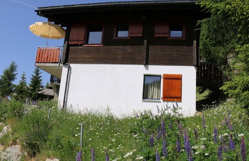 Bettmeralp Apartment | Nice apartment for 6 people with WIFI, TV and balcony