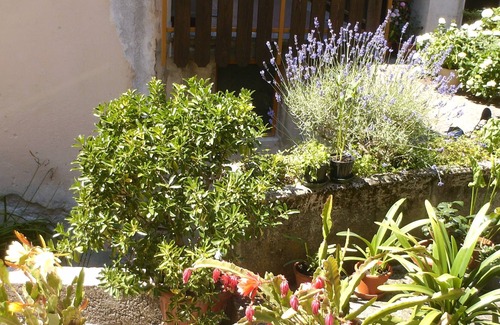 Molveno Apartment | Nice apartment in centrissimo in Molveno (TN)