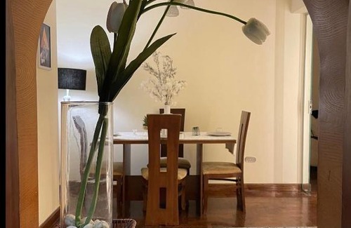 Gezira Apartment | Nice apartment in Saraya Zamalek