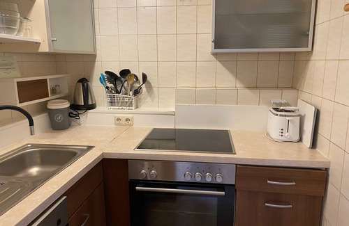 Viehhofen Apartment | Nice apartment with terrace in prime location