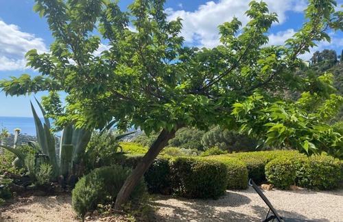 Cavalaire-sur-Mer Apartment | Nice flat 53m² air-cond garden WIFI swimmig pool tennis private pkg sea view