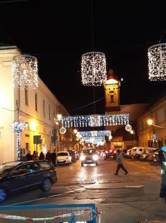 Baia Mare Apartment | Nice & Relaxing Central Apartment