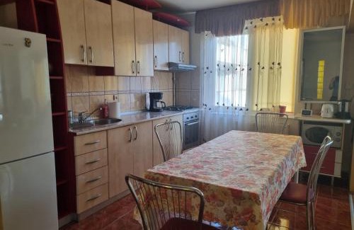 Baia Mare Apartment | Nice & Relaxing Central Apartment