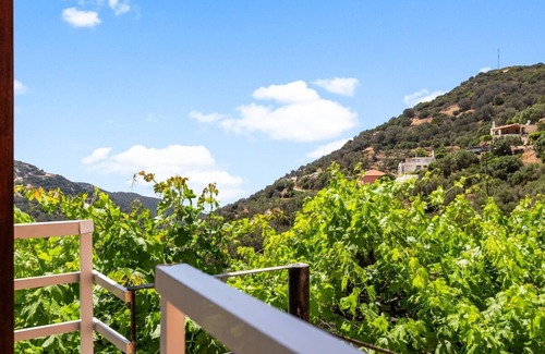 Livadia House | Nick's Apartment in Kambos