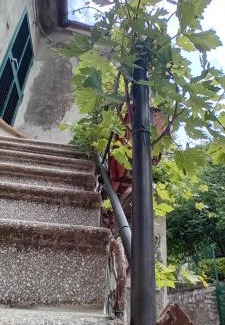 Campiglia d'Orcia Apartment | Nicolas House