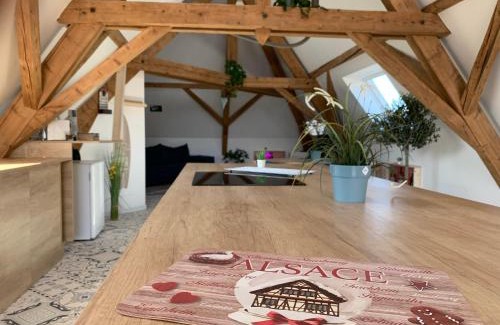 Illhaeusern Apartment | Nid de cigogne