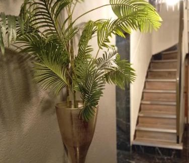 Nippes Hotel | Niehler Hotel