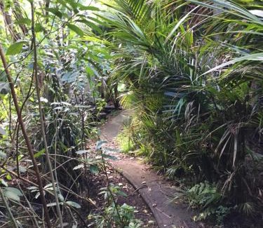 New Plymouth Villa | Nikau Retreat