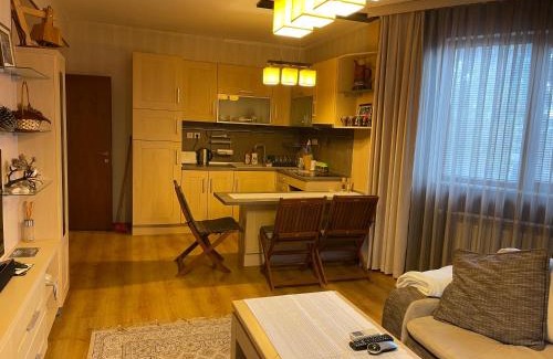 Velingrad Apartment | Nikol 3 SPA CLUB BOR