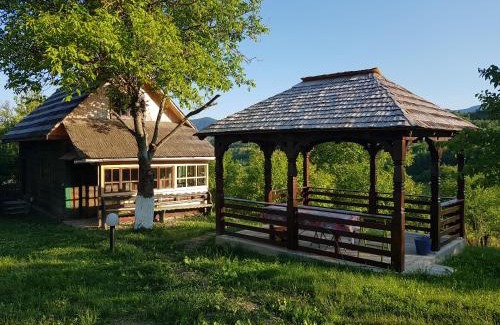 Poienile Izei House | Ninga Rai