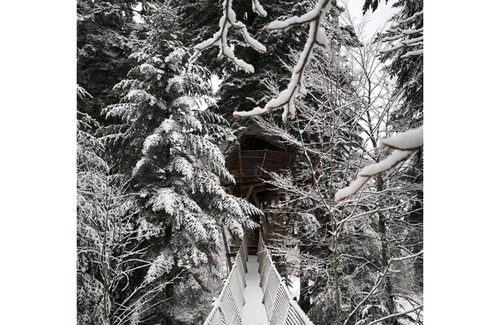 La Tour-dʼAuvergne Cabin | Nis dau Sapi tree house