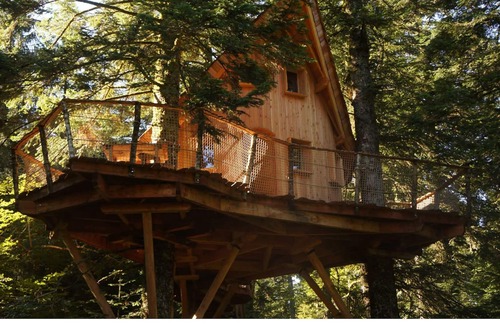 La Tour-dʼAuvergne Cabin | Nis dau Sapi tree house