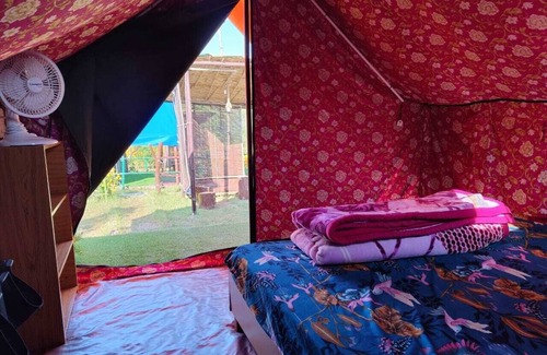 Almora Hotel | Nisarg Camping Pods