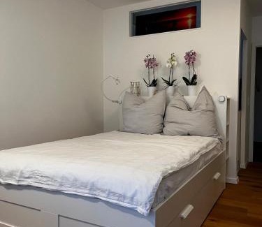 Herrsching am Ammersee Apartment | NO-Television One bedroom apartment