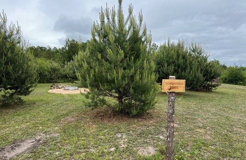 Petoskey RV Rental | No water or electric , must be self contained , very spacious lots