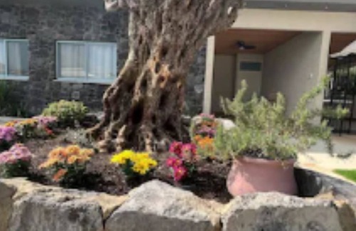 Yavne'el House | Noga Resort- romantic and peaceful place.