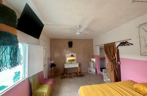 Sisal House | NooK