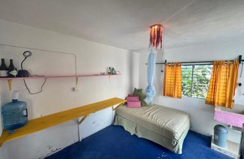 Sisal House | NooK