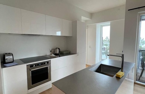 Copenhagen Apartment | Nordhavn luxe w water view