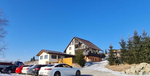 Saru Dornei Villa | Nordic Vila - Domeniile Dorna Escape