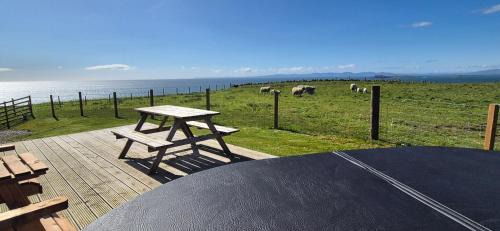 Muasdale Other | North Muasdale Farm, Ewe View