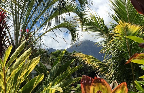 Princeville House | North Shore Oasis - Tropical Waterfall Garden And Bali Hai Sunsets