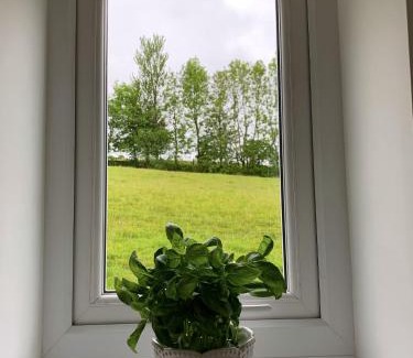 Gilsland Apartment | North View Cottage next to Hadrian's Wall