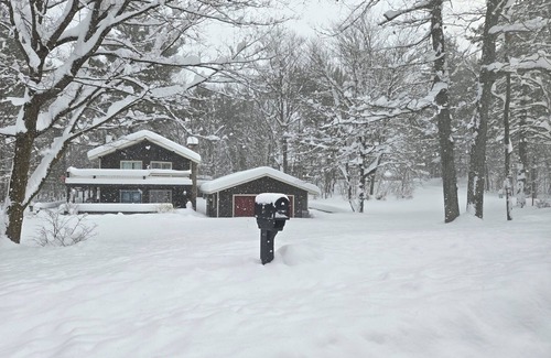 Michaywe Ski Chalet | Northern Comfort Chalet with WiFi in Gaylord