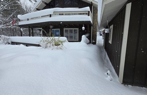 Michaywe Ski Chalet | Northern Comfort Chalet with WiFi in Gaylord