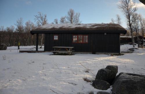 Vaga Municipality Cabin | Northern gate Besseggen - Cottage no 17 in Besseggen Fjellpark Maurvangen