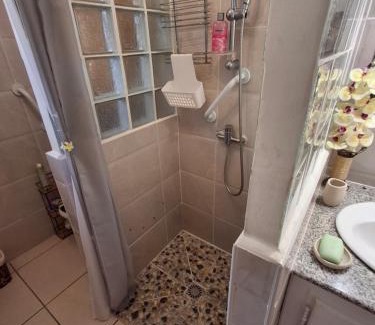 Saint-Andre Apartment | Notre Z'oiseau de Paradis