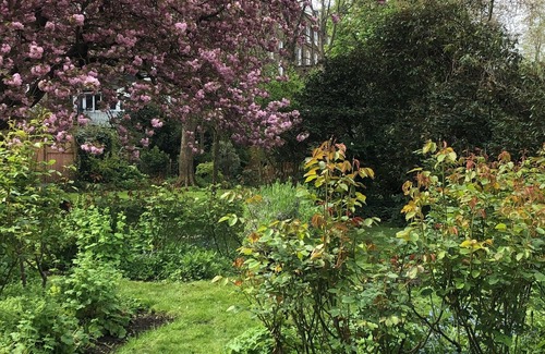 Notting Dale Apartment | Notting Hill communal garden 2 bed flat