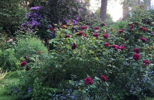 Notting Dale Apartment | Notting Hill communal garden 2 bed flat