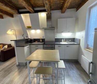 Le Puy-en-Velay Apartment | Nouveau- Maison de ville avec spa